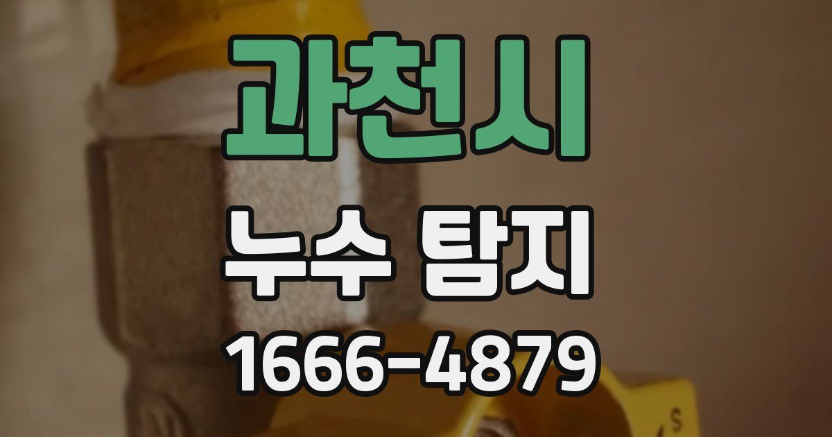 과천시 누수 탐지