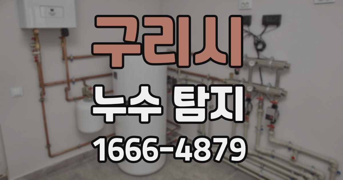 구리시 누수 탐지