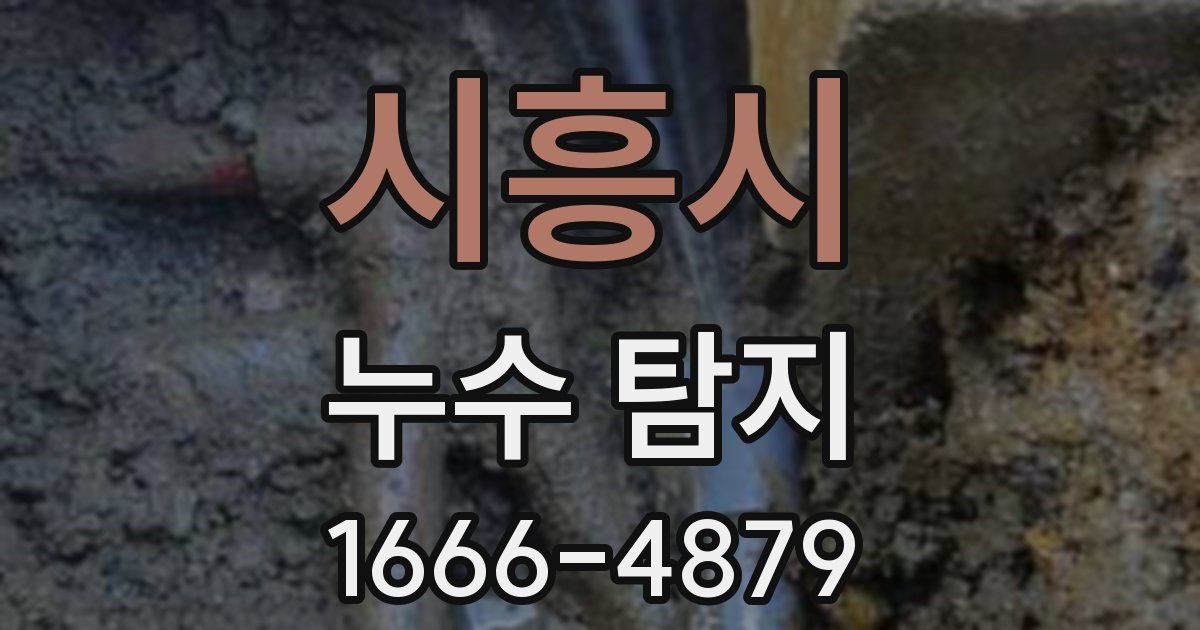 시흥시 누수 탐지