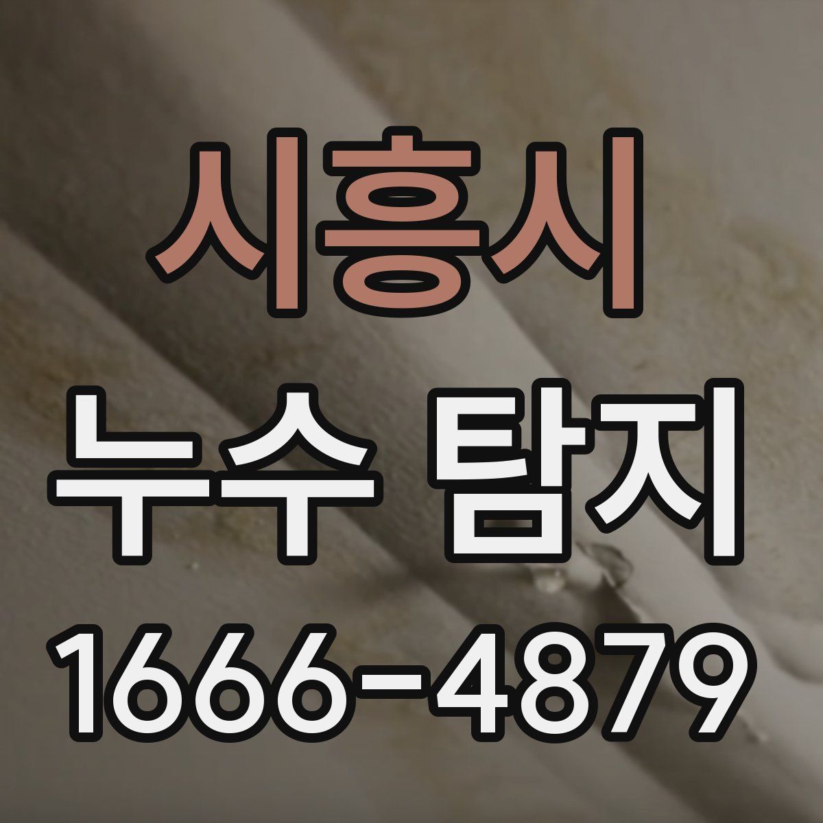 시흥시 누수 탐지