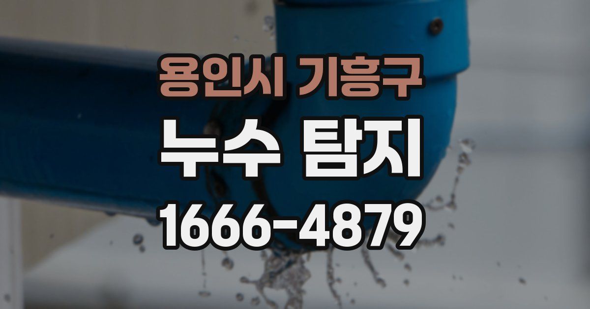 용인시 기흥구 누수 탐지
