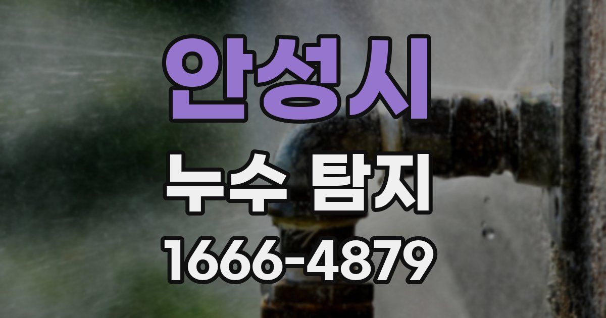 안성시 누수 탐지