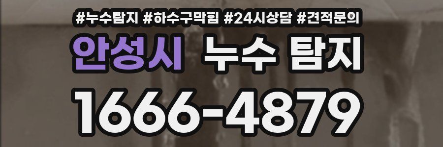 안성시 누수 탐지