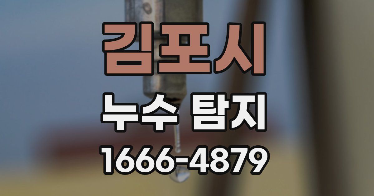 김포시 누수 탐지