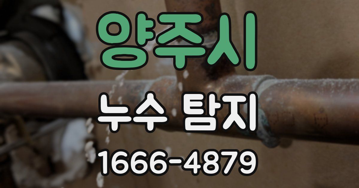 양주시 누수 탐지