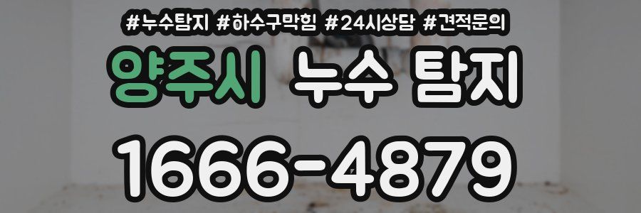양주시 누수 탐지