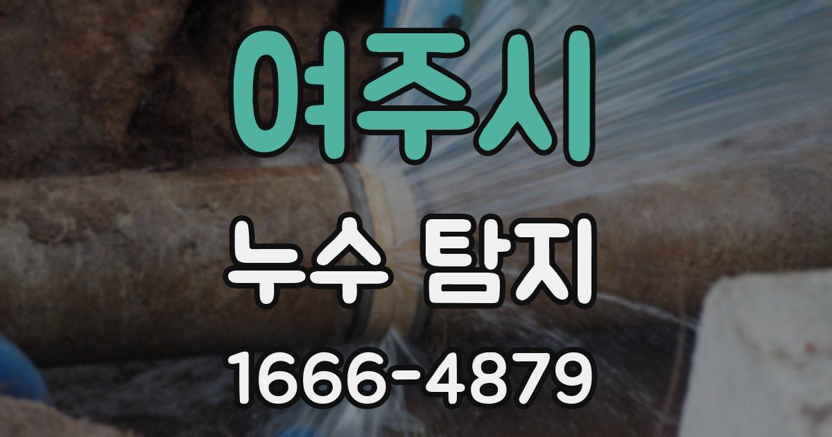 여주시 누수 탐지