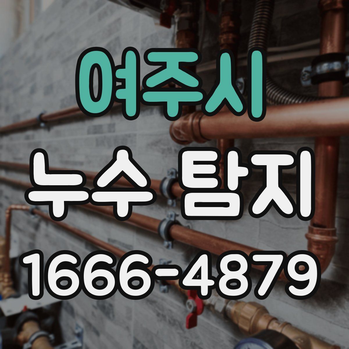 여주시 누수 탐지