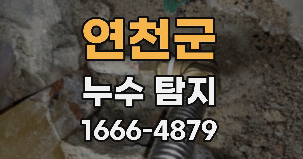 연천군 누수 탐지