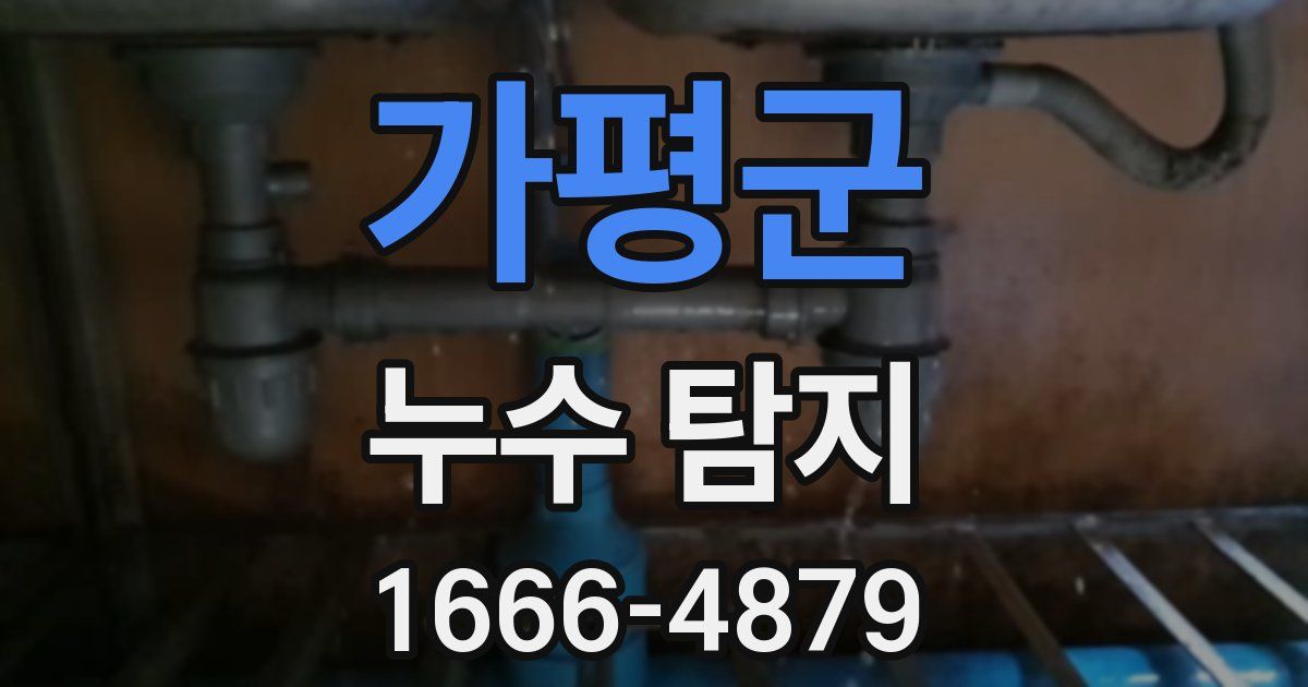 가평군 누수 탐지