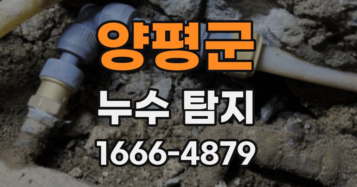양평군 누수 탐지