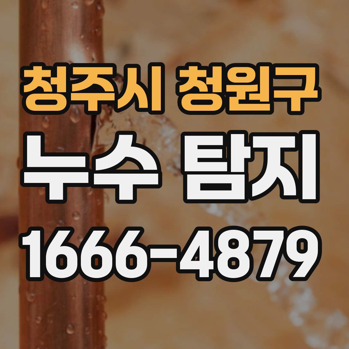 청주시 청원구 누수 탐지