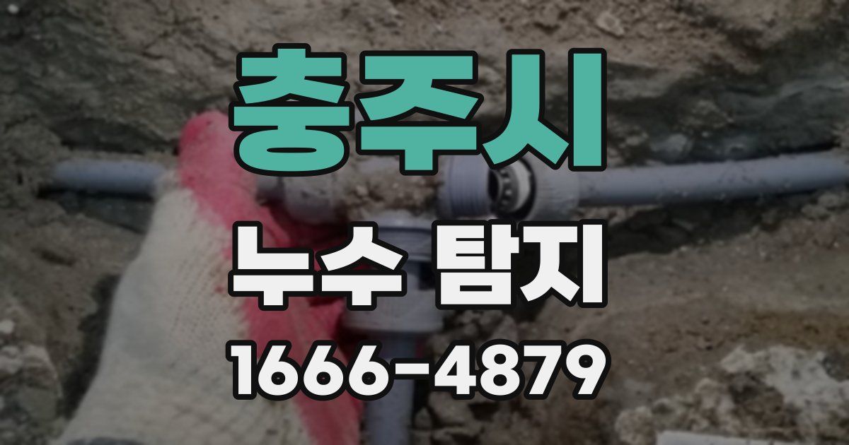 충주시 누수 탐지