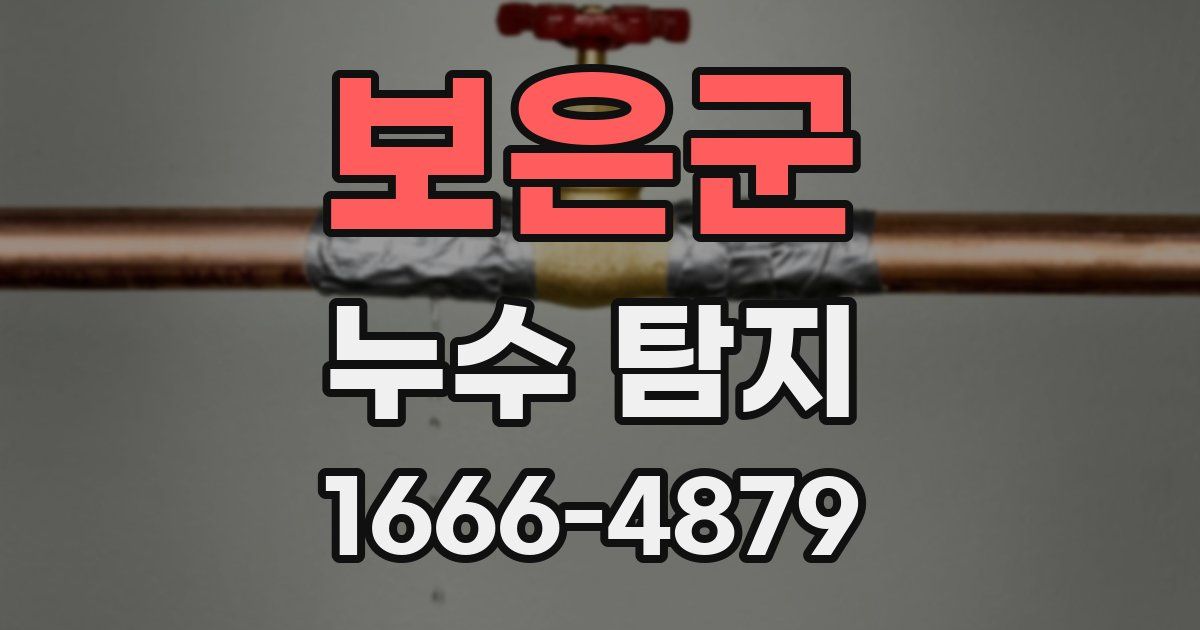 보은군 누수 탐지