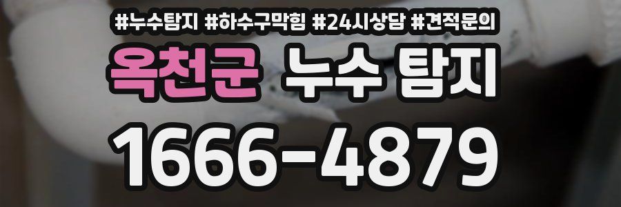 옥천군 누수 탐지