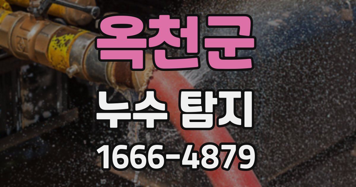 옥천군 누수 탐지