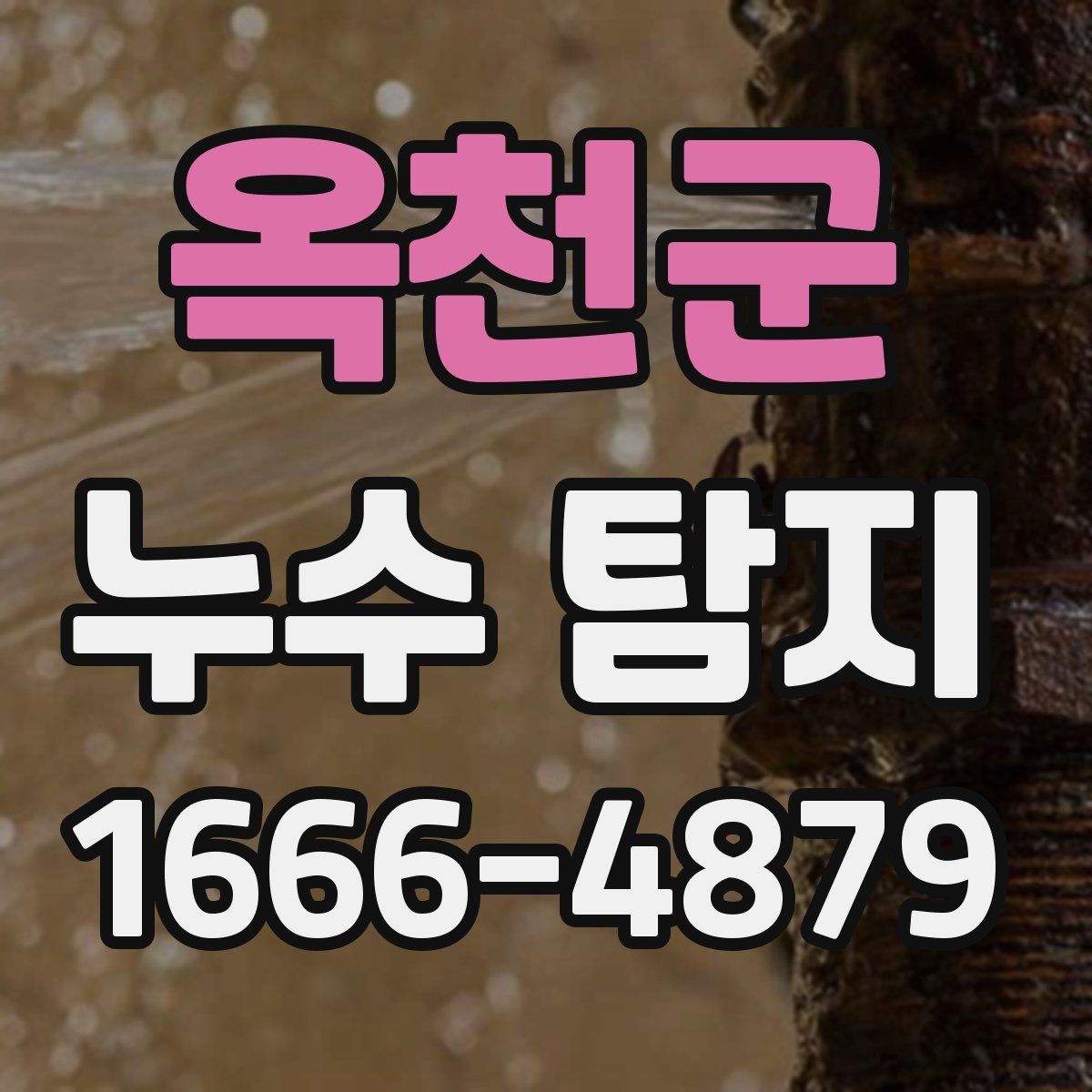 옥천군 누수 탐지
