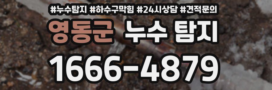 영동군 누수 탐지