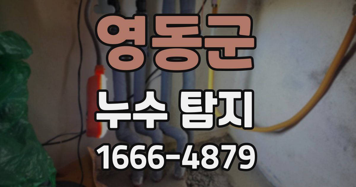 영동군 누수 탐지