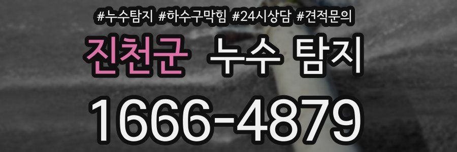 진천군 누수 탐지