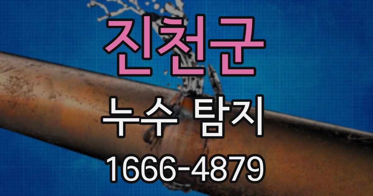 진천군 누수 탐지