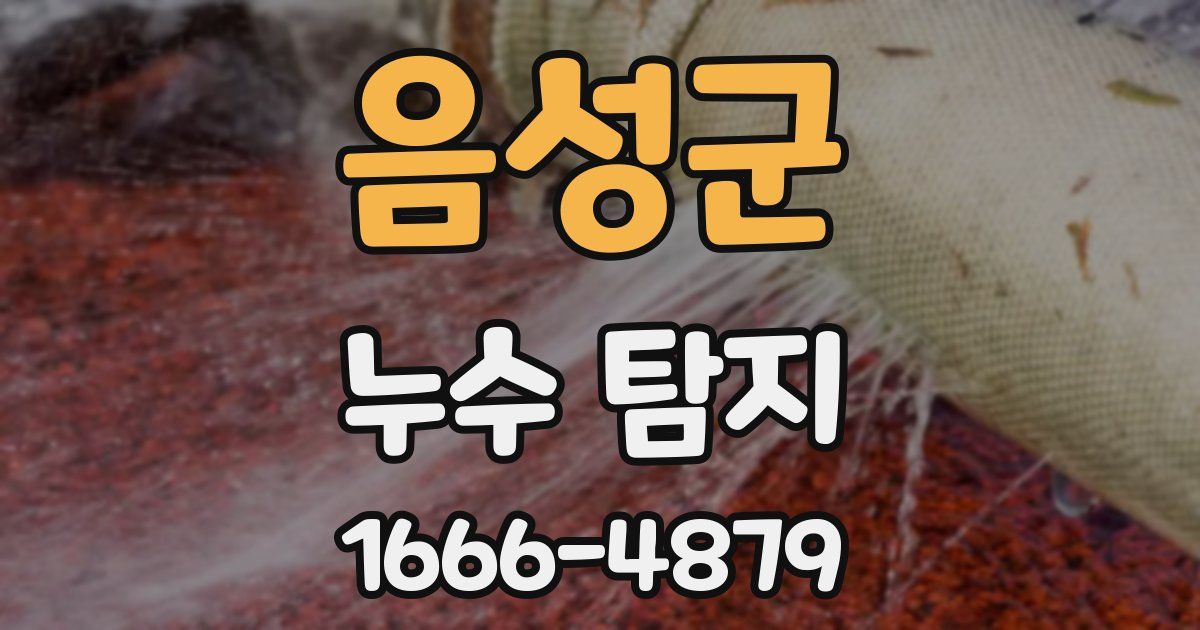 음성군 누수 탐지