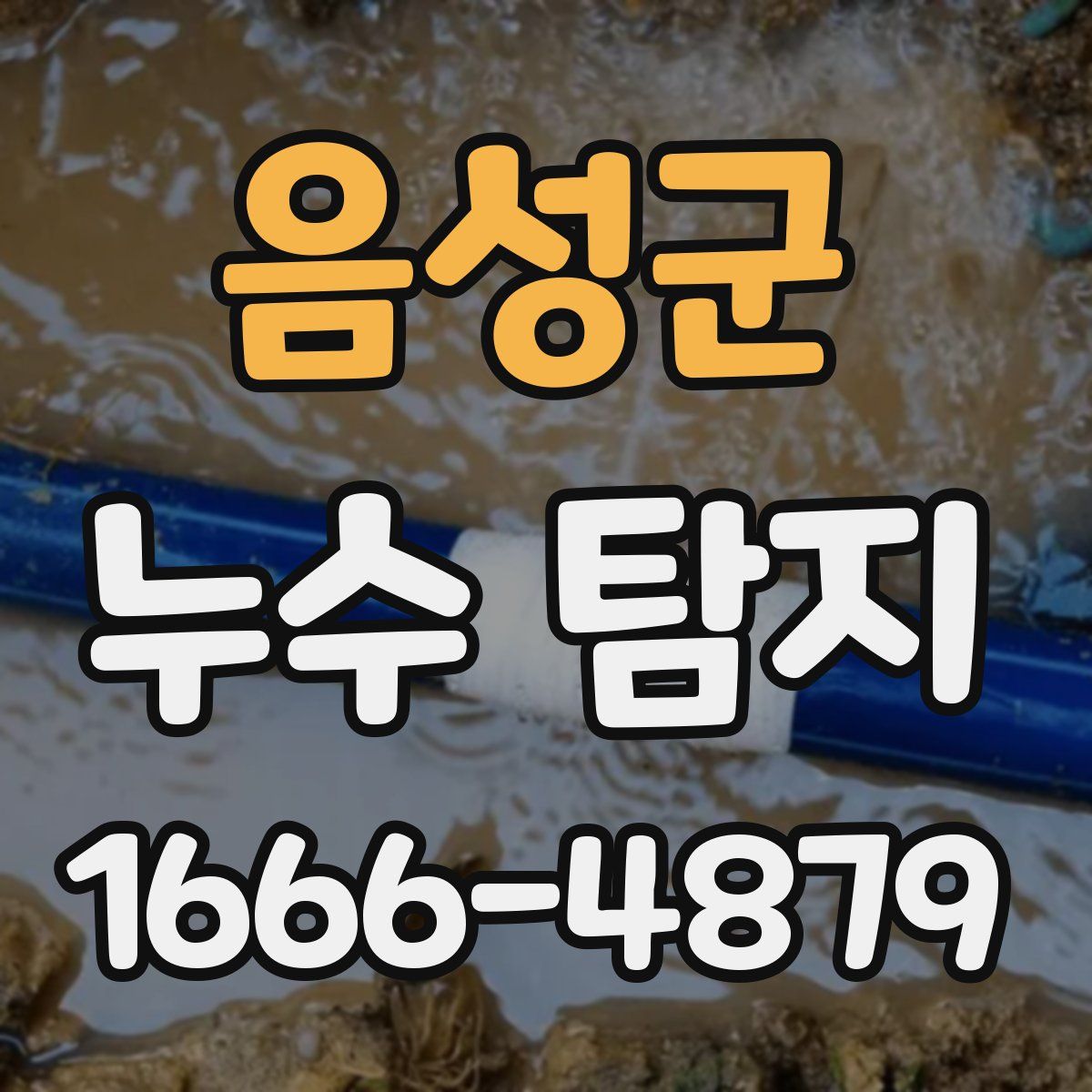 음성군 누수 탐지
