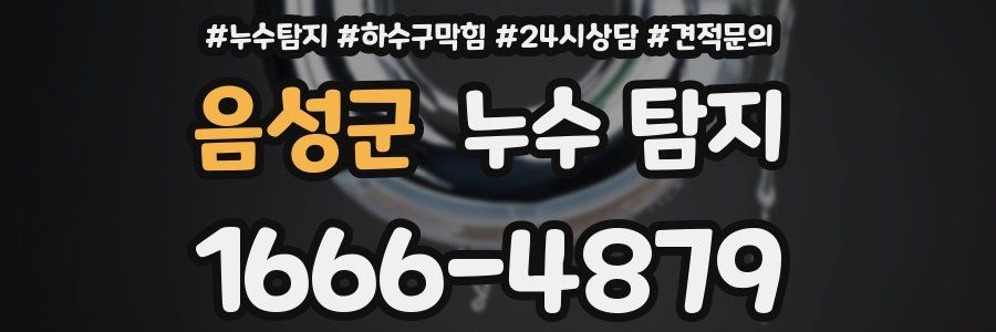 음성군 누수 탐지
