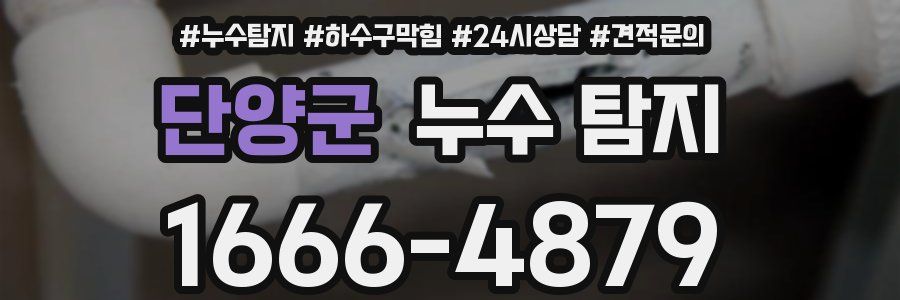 단양군 누수 탐지
