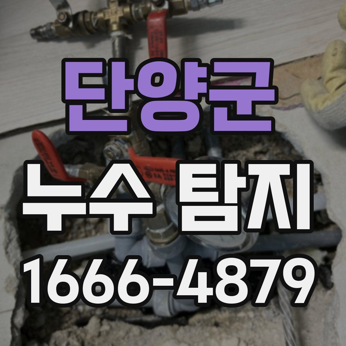 단양군 누수 탐지