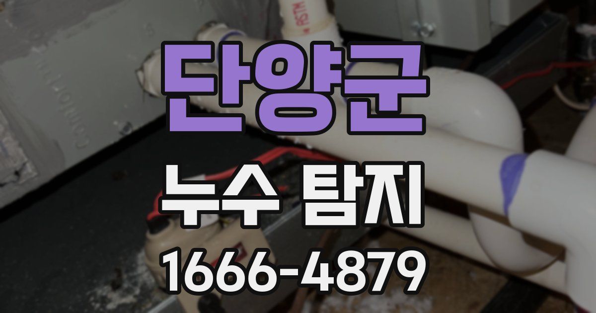 단양군 누수 탐지