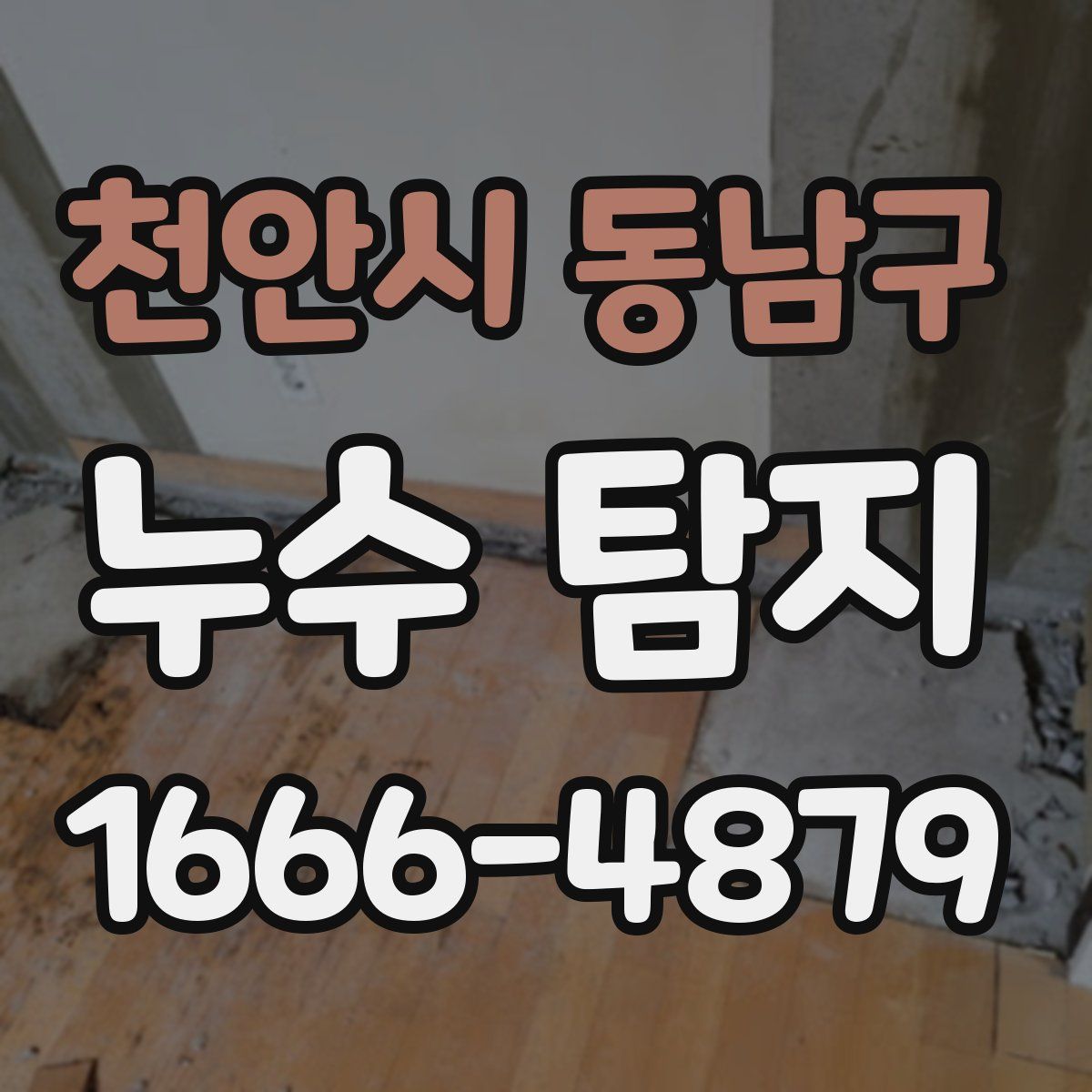 천안시 동남구 누수 탐지