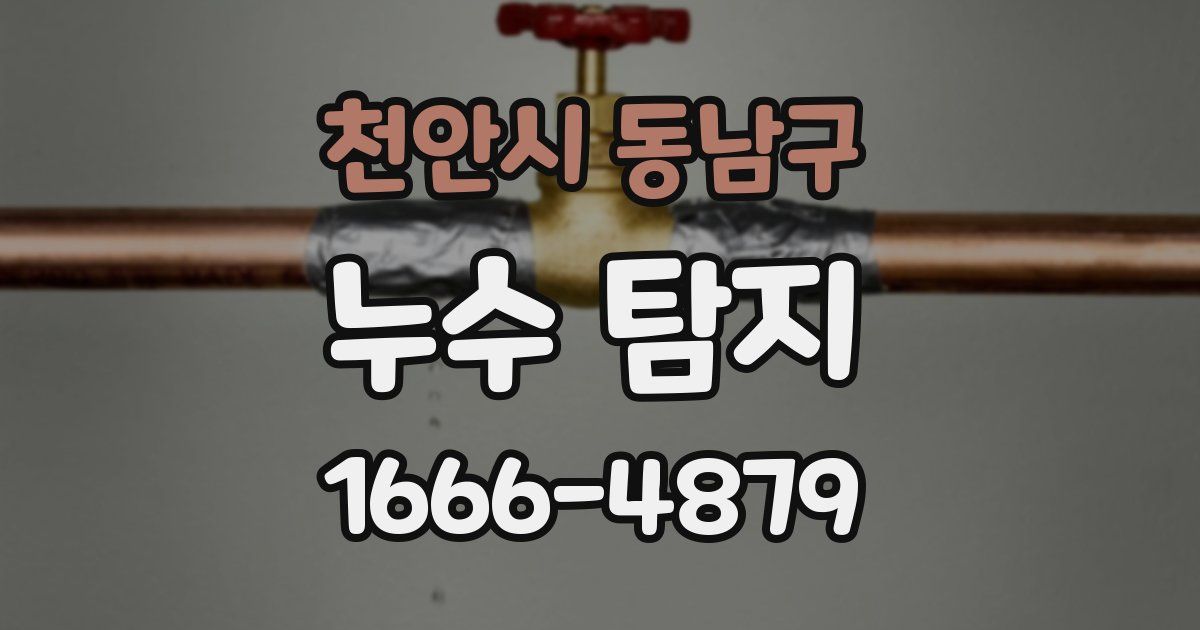 천안시 동남구 누수 탐지