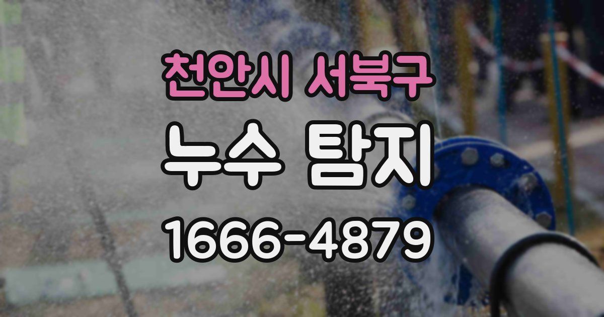 천안시 서북구 누수 탐지