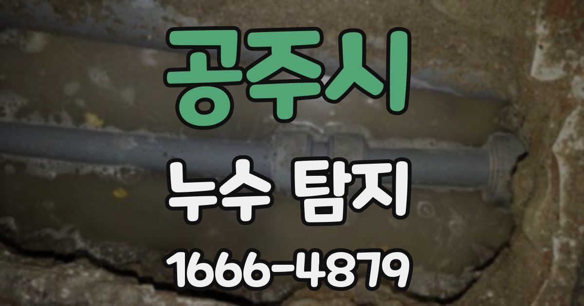 공주시 누수 탐지
