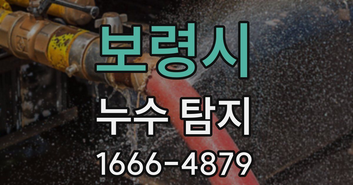 보령시 누수 탐지