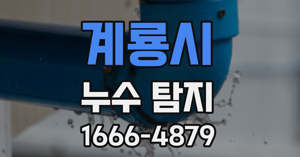 계룡시 누수 탐지