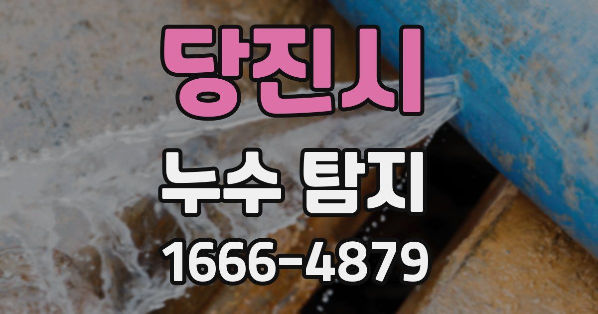 당진시 누수 탐지