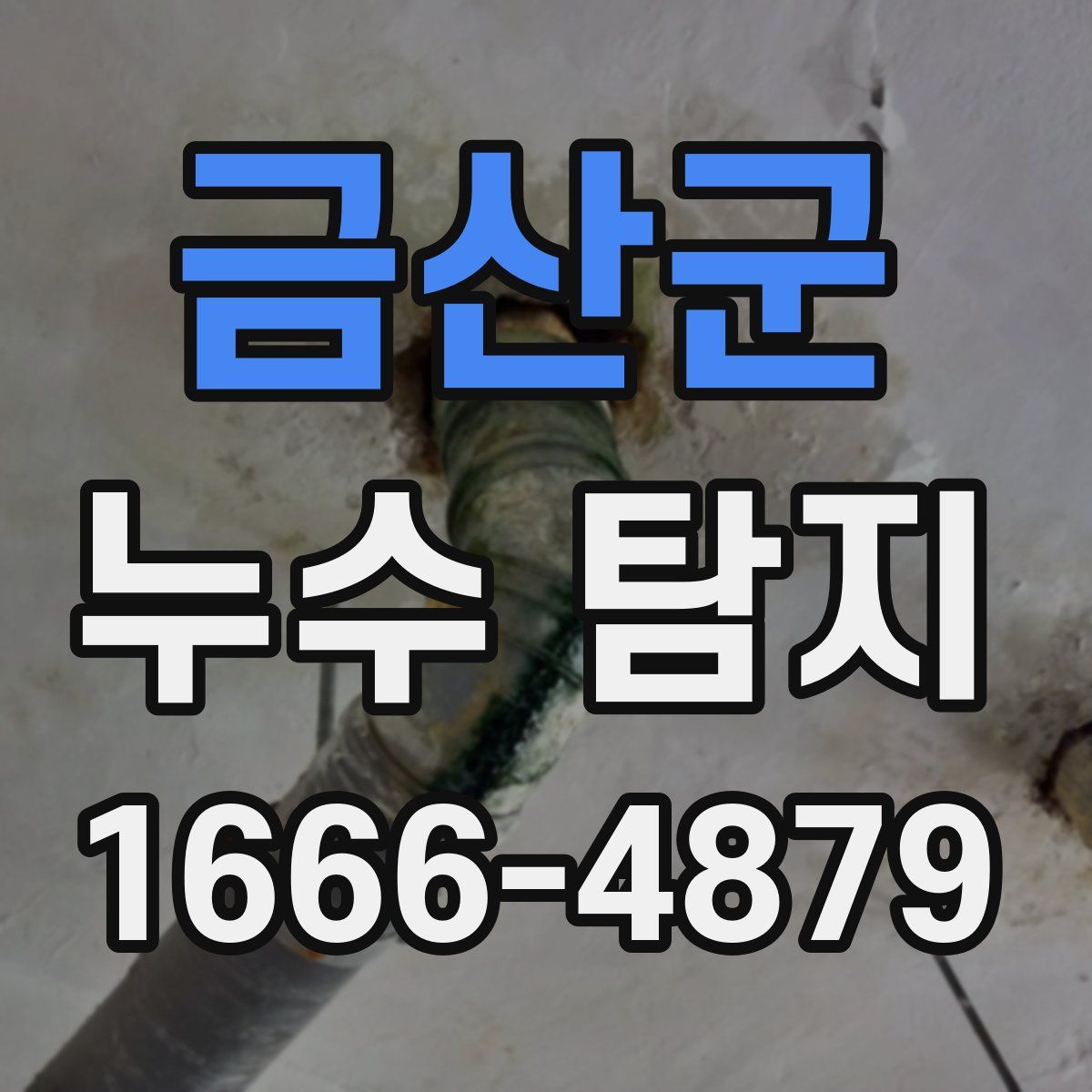금산군 누수 탐지
