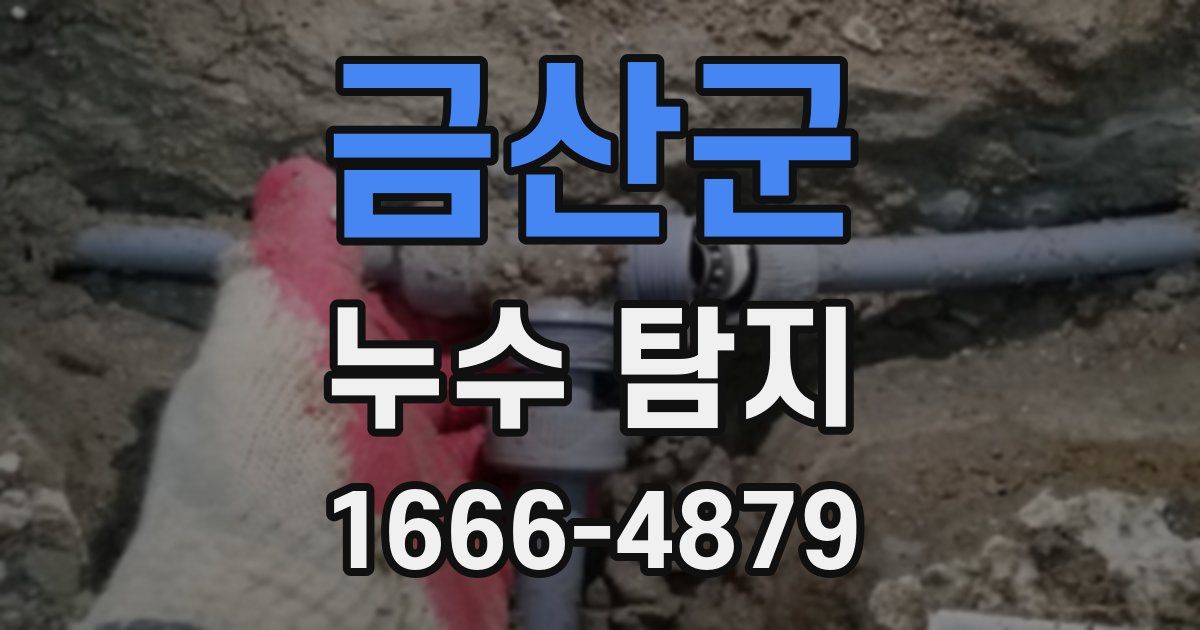 금산군 누수 탐지