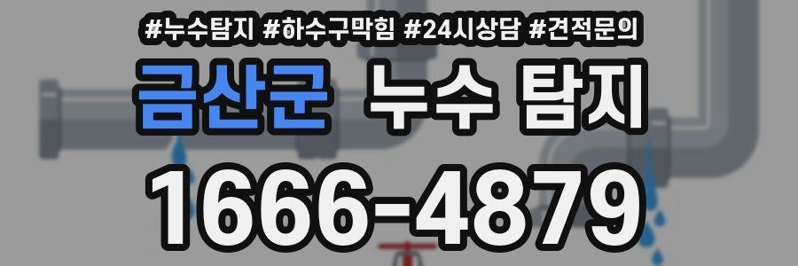 금산군 누수 탐지