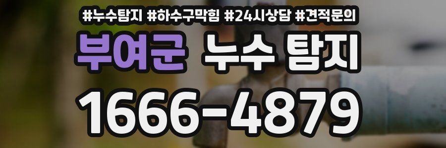 부여군 누수 탐지