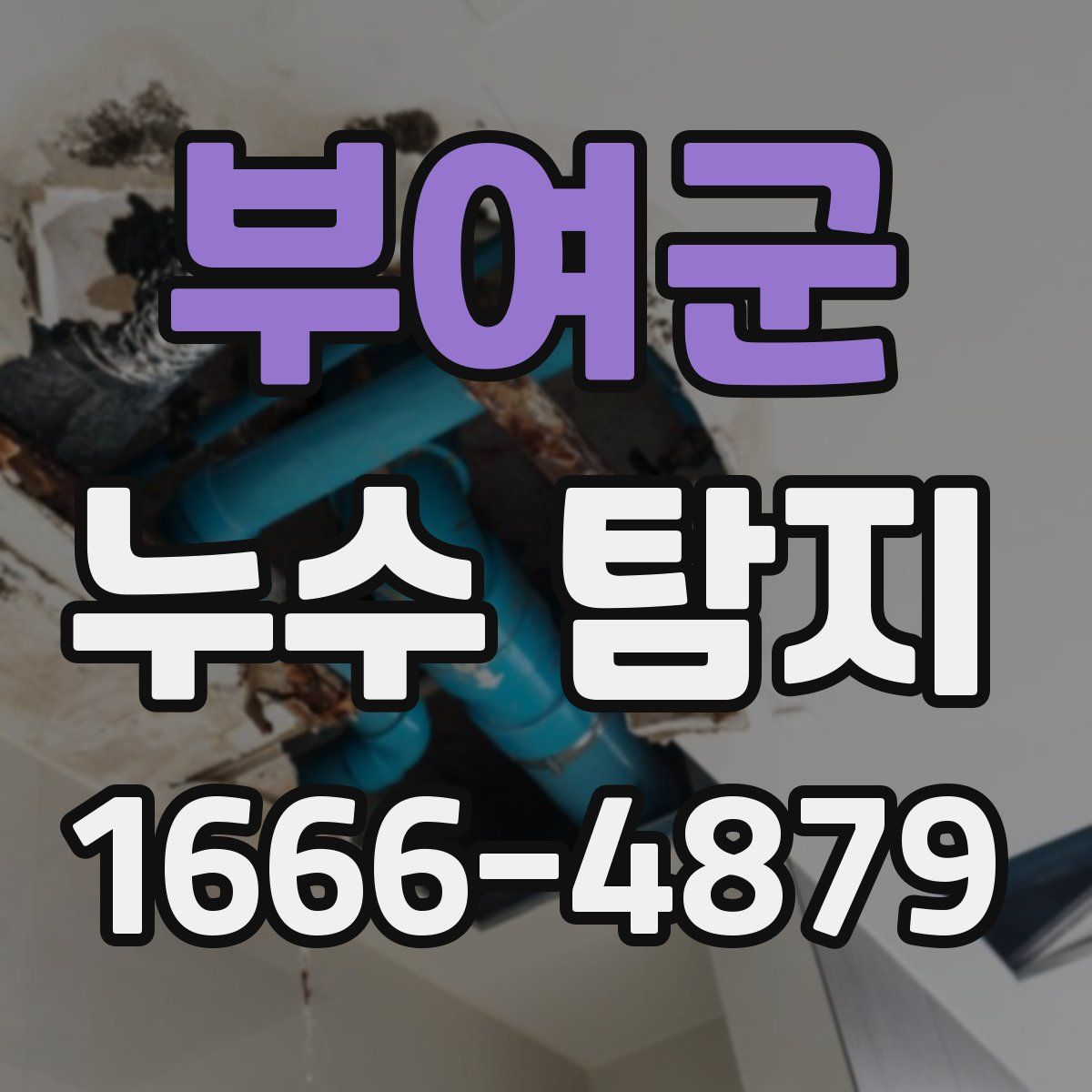 부여군 누수 탐지