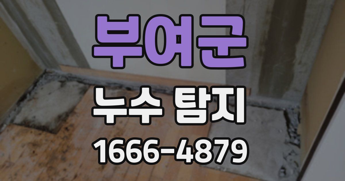 부여군 누수 탐지