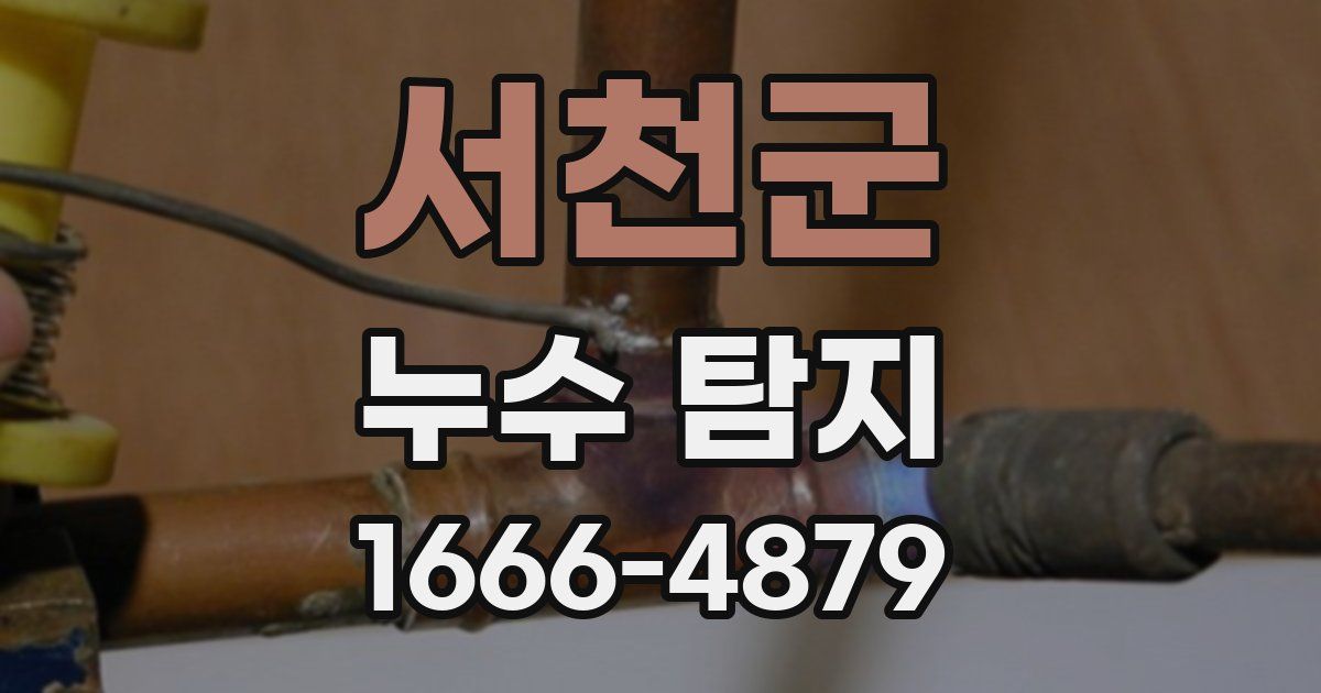서천군 누수 탐지