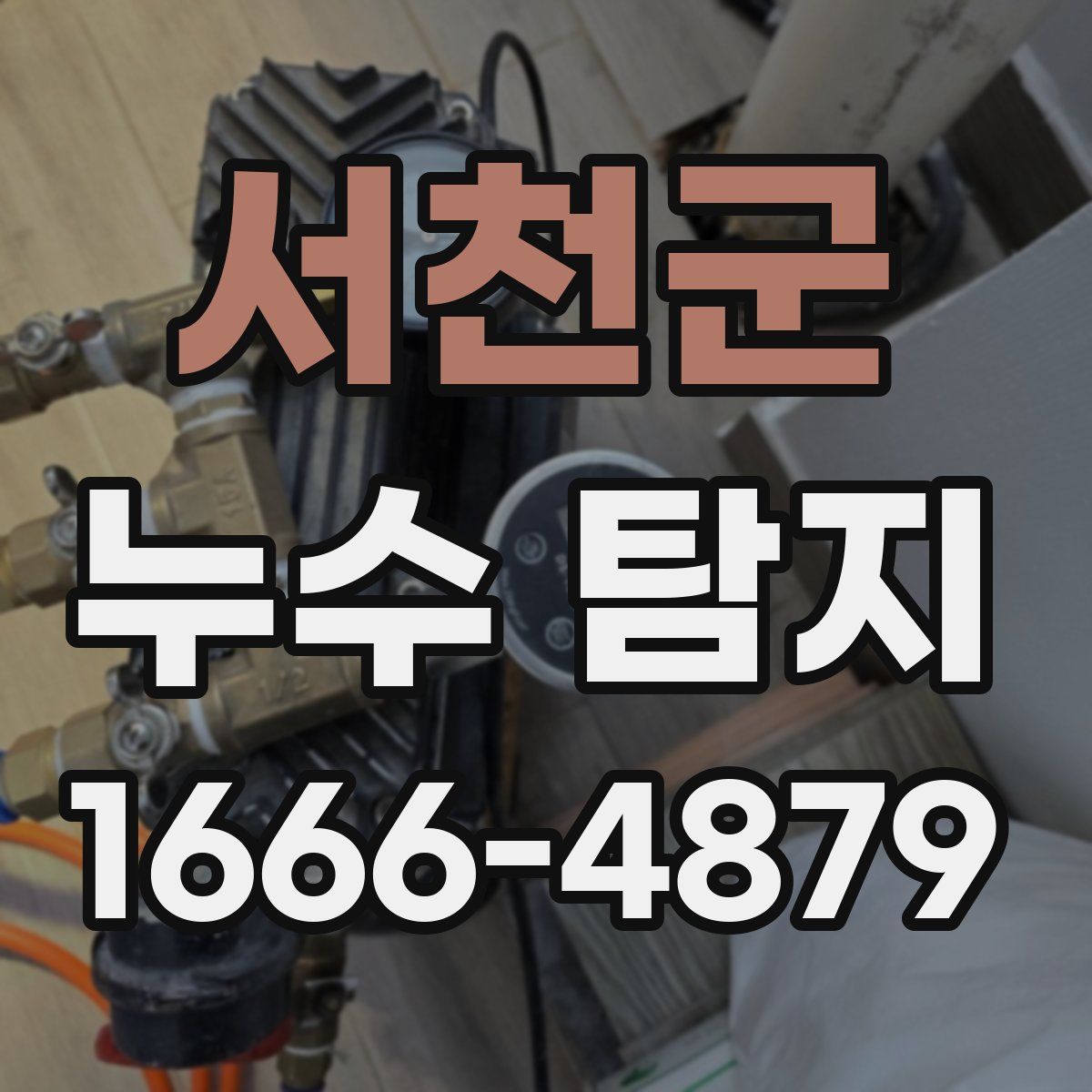서천군 누수 탐지