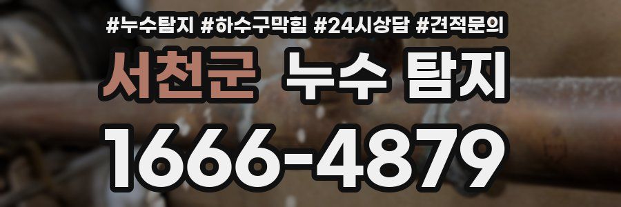 서천군 누수 탐지