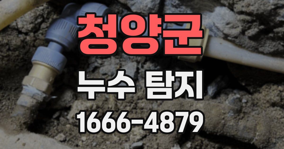 청양군 누수 탐지
