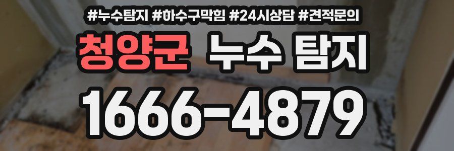 청양군 누수 탐지