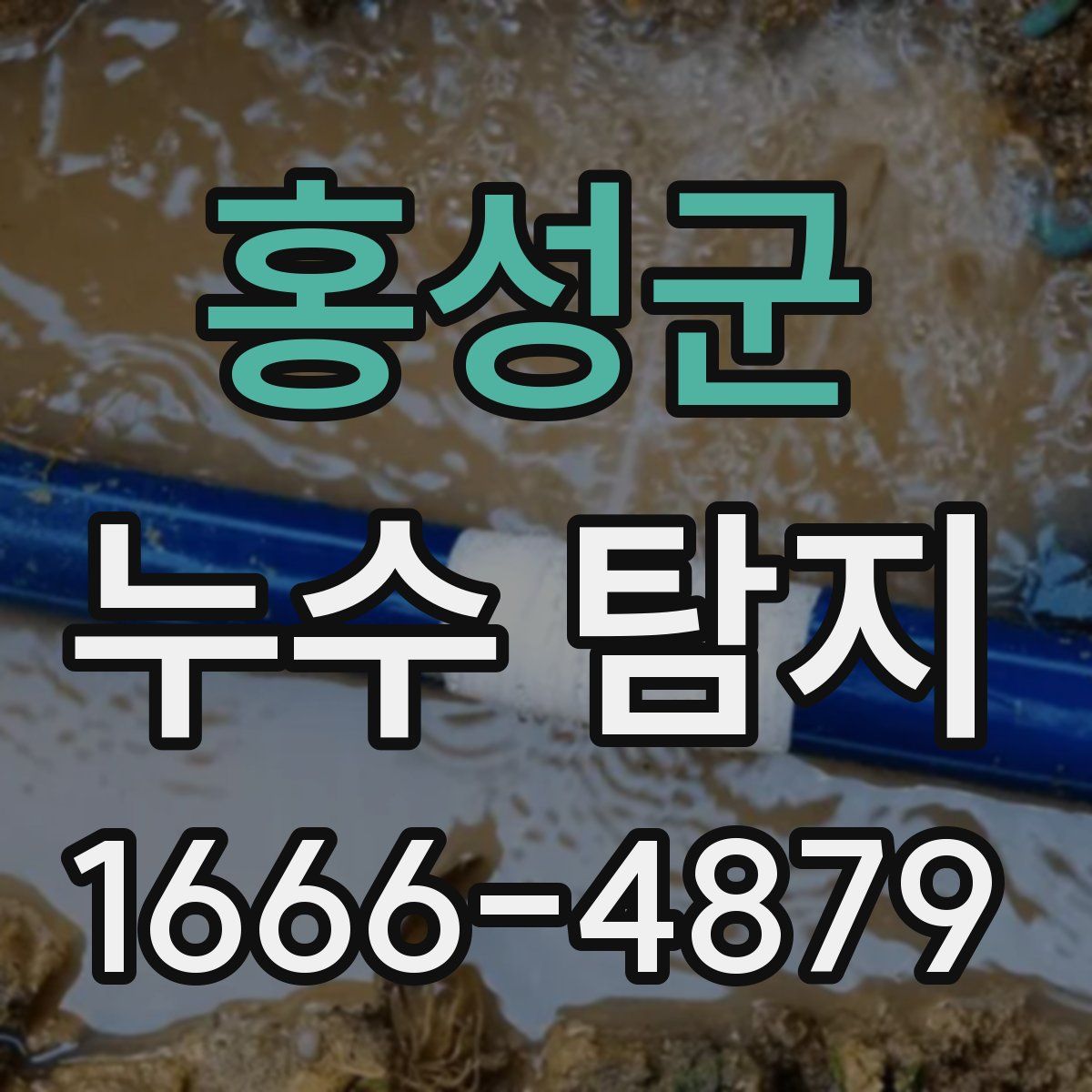 홍성군 누수 탐지